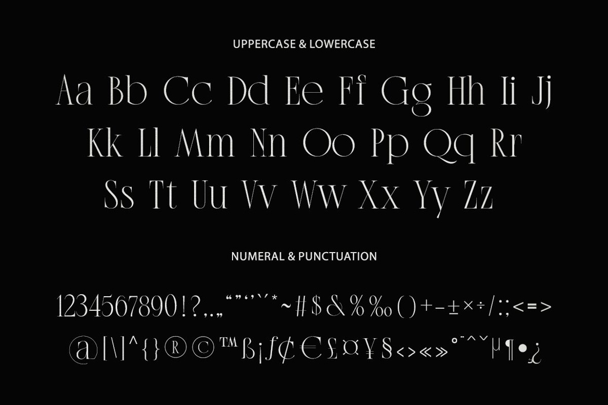 Aestica – Elegant Stylish Serif Font, a Serif Font by kangfont Studio (Photo 4 of 10)