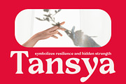 Loyale Rosell Modern Serif Font, a Serif Font by timelesstype.co (Thumbnail 2 of 20)