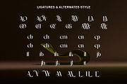 Ralien Modern Serif Typeface, a Serif Font by Alfinart (Thumbnail 9 of 10)