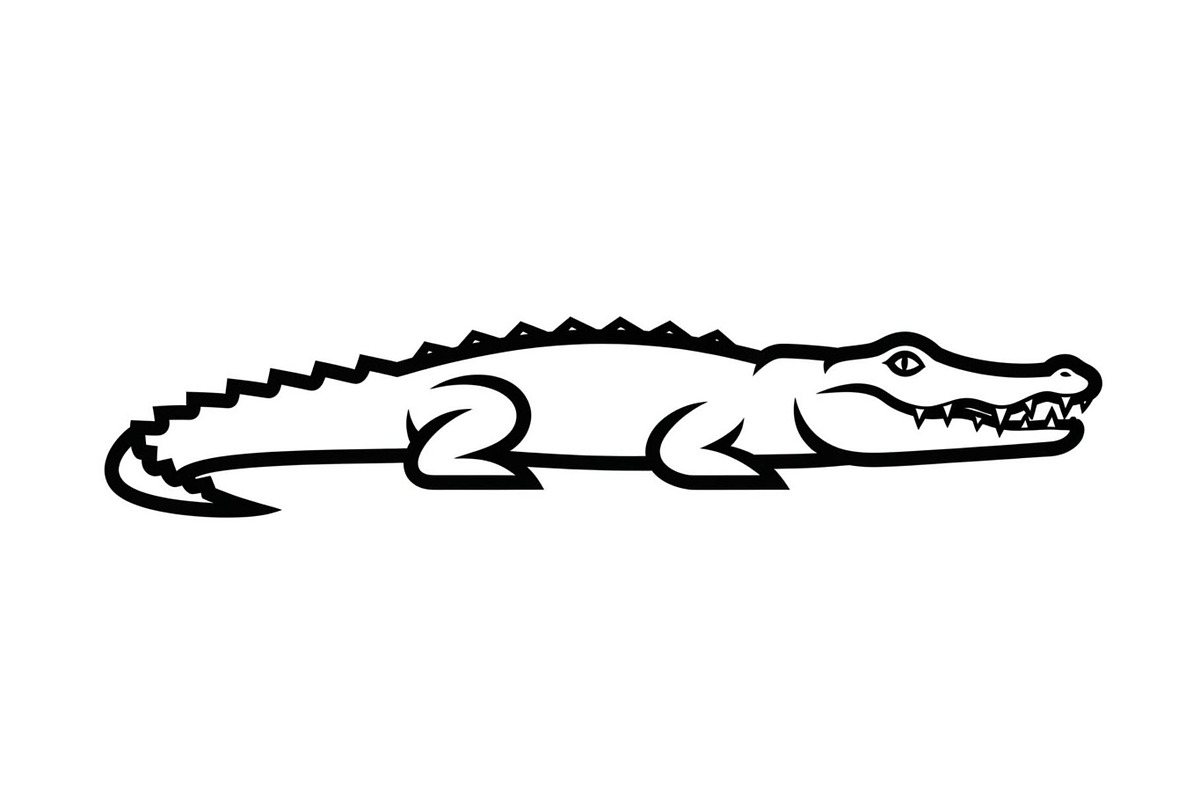 Crocodile Alligator Vector Bundle, an Illustration by jahid234 (Photo 38 of 51)