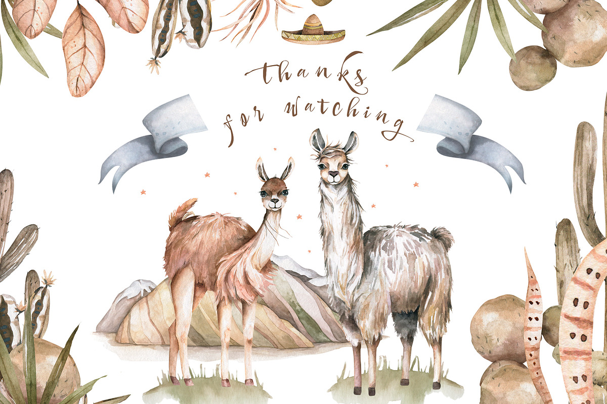 Cute Llama & Guanaco Watercolor Set, an Animal Illustration by Ann Art Houze (Photo 10 of 10)