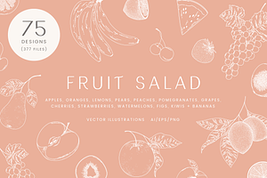 Fruit Salad Vector Illustrations