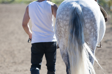 Rear view of a bald cowboy man walking with his white horse, a Person Photo by 2Design