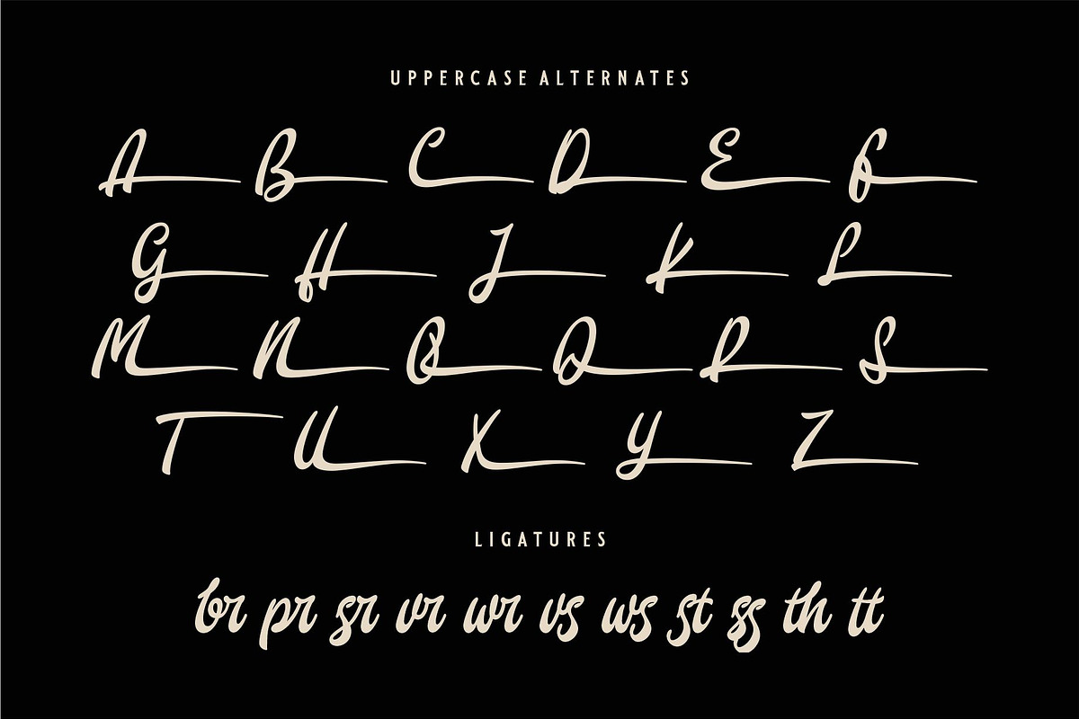 Banions | Bold Signature Script, a Script Font by Havinkpen (Photo 8 of 10)