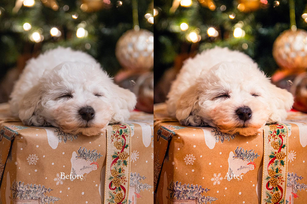 Christmas Lightroom Presets, a Preset Add-On by VividFrame (Photo 3 of 9)