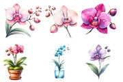 Watercolor Orchid Clipart, an Illustration by Designworld (Thumbnail 6 of 7)