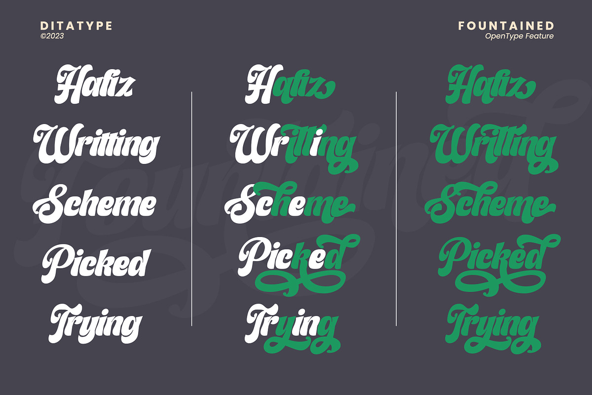 Fountained, a Script Font by Ditatype (Photo 5 of 11)