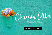 Bermesta, a Script Font by pineungtype (Thumbnail 6 of 8)