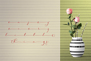 Scriptic Wilder, a Script Font by Fontdroe (Thumbnail 11 of 14)