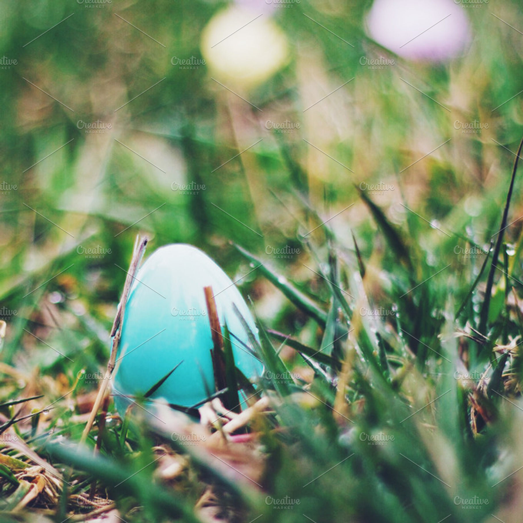 Easter Egg in the Grass