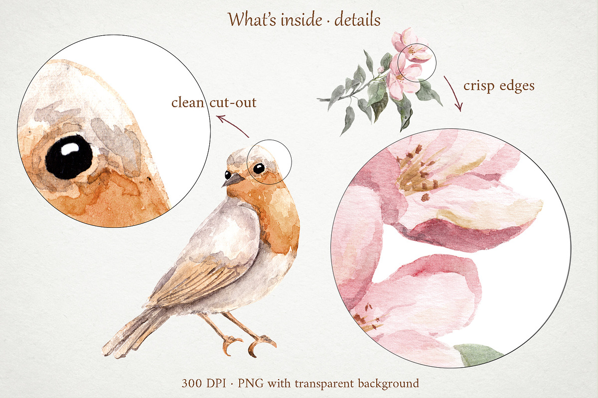Apple Blossom Watercolor Clipart Set, a Seasonal Illustration by Where summer is (Photo 4 of 14)