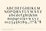 The Modern Serif Font Bundle, a Serif Font by Design 265 (Thumbnail 3 of 33)