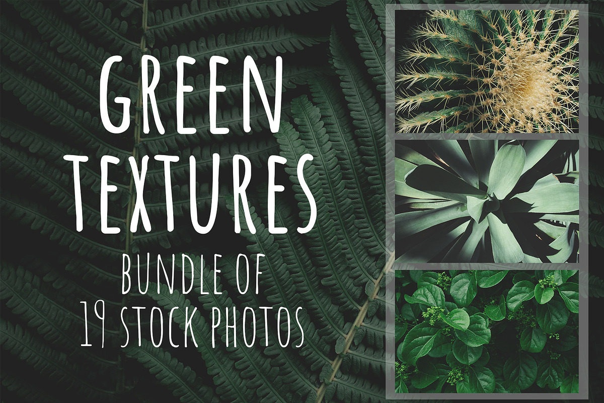 Green textures - photo bundle, a Nature Photo by rorygez fresh (Photo 1 of 6)