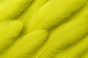 Chartreuse feathers background with, a Photo by Dvoevnore photos