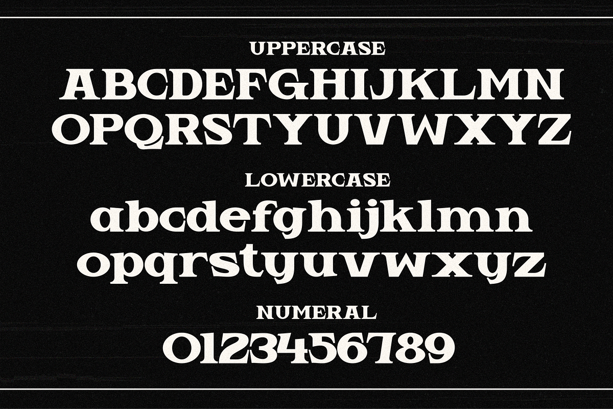Vemeta - Modern Serif Font, a Serif Font by MaikoHatta (Photo 6 of 8)