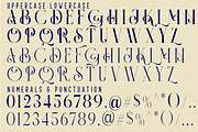 Panorama Ligatures Font, a Serif Font by 177Studio (Thumbnail 8 of 8)