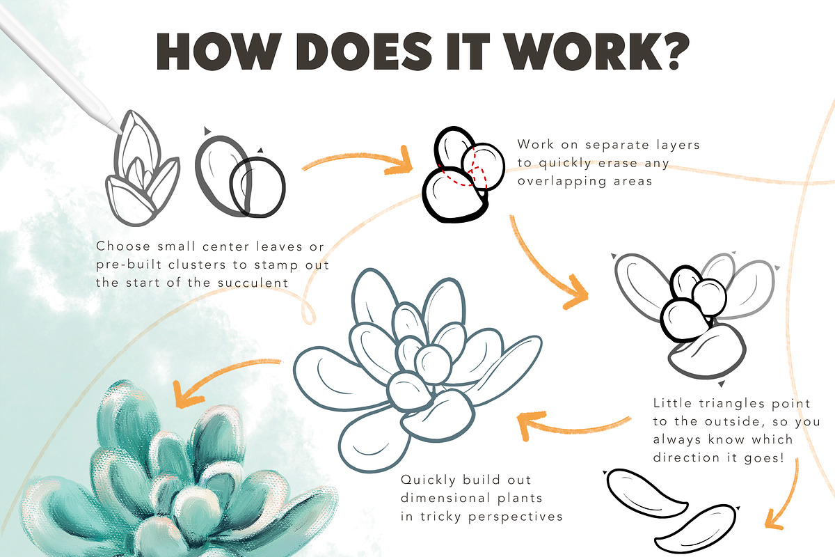 Succulent Builder Procreate Brushkit, a Brush Add-On by Wooly Pronto (Photo 2 of 7)