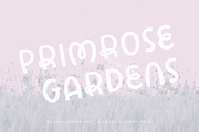 Primrose Gardens a lovely loopy font, a Handwritten Font by Rachel White Art (Thumbnail 21 of 22)