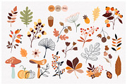 Autumn botanicals collection, a Decorative Illustration by Letto studio (Thumbnail 2 of 7)