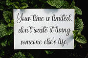 Spooky Society | Script Font, a Handwritten Font by Scratchones (Thumbnail 5 of 9)