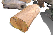 13 Tree Logs, an Environmental 3D Model by Beatheart Creative Studio (Thumbnail 34 of 37)
