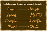 Viyona - Vintage Display Font, a Script Font by Attype (Thumbnail 8 of 8)