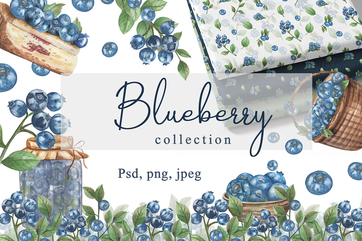 Blueberry watercolor collection, an Object Illustration by Pattern + watercolor (Photo 1 of 10)