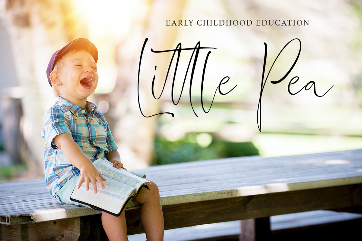 Fatal Grace. Signature Script Font. preview 6