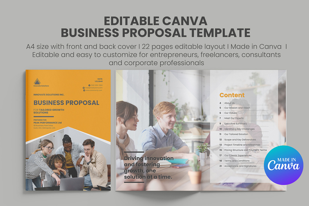 Editable Business Proposal in Canva, a Brochure Template by Oshin Design (Photo 1 of 8)