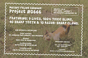 Noordelic Font, a Symbol Font by Fontcamp Type Foundry (Thumbnail 14 of 14)