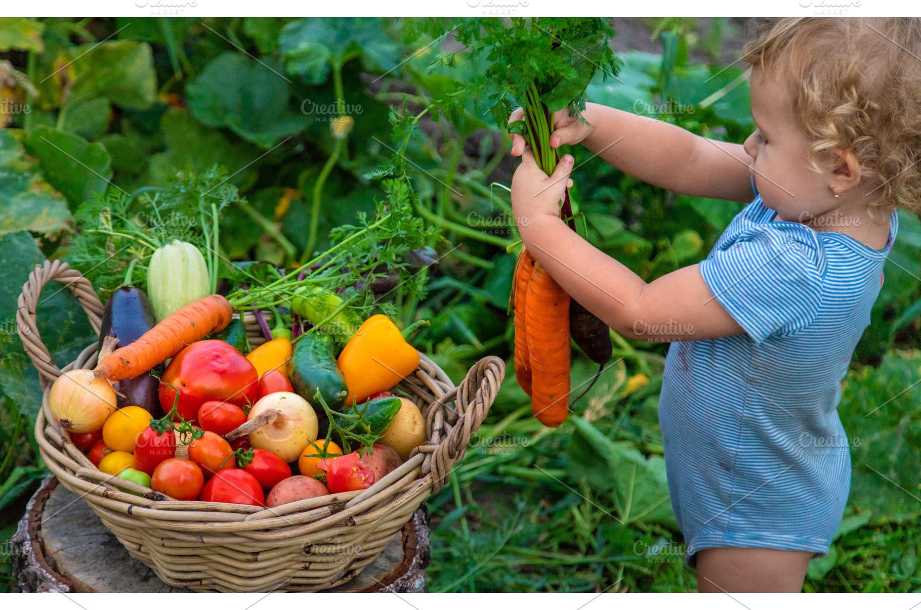 A child with a harvest of vegetables, a Food & Drink Photo by yanadjana