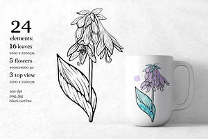 Hand Drawn Flowers. Elegant Line Art