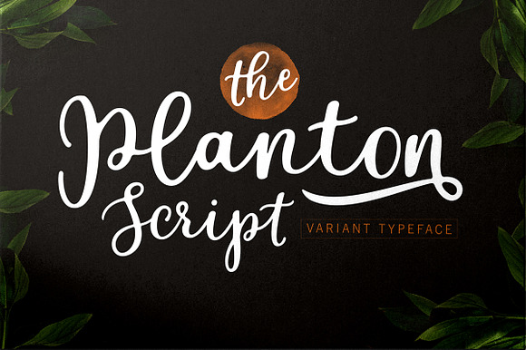 Planton Script preview 8