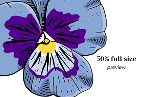 Vintage Pansy Flower Line Art