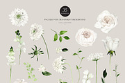 Watercolor flower - Elegant Wedding, an Illustration by Beigetime (Thumbnail 3 of 12)