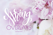 Spring lettering overlays collection, a Graphic by catary art (Thumbnail 1 of 4)