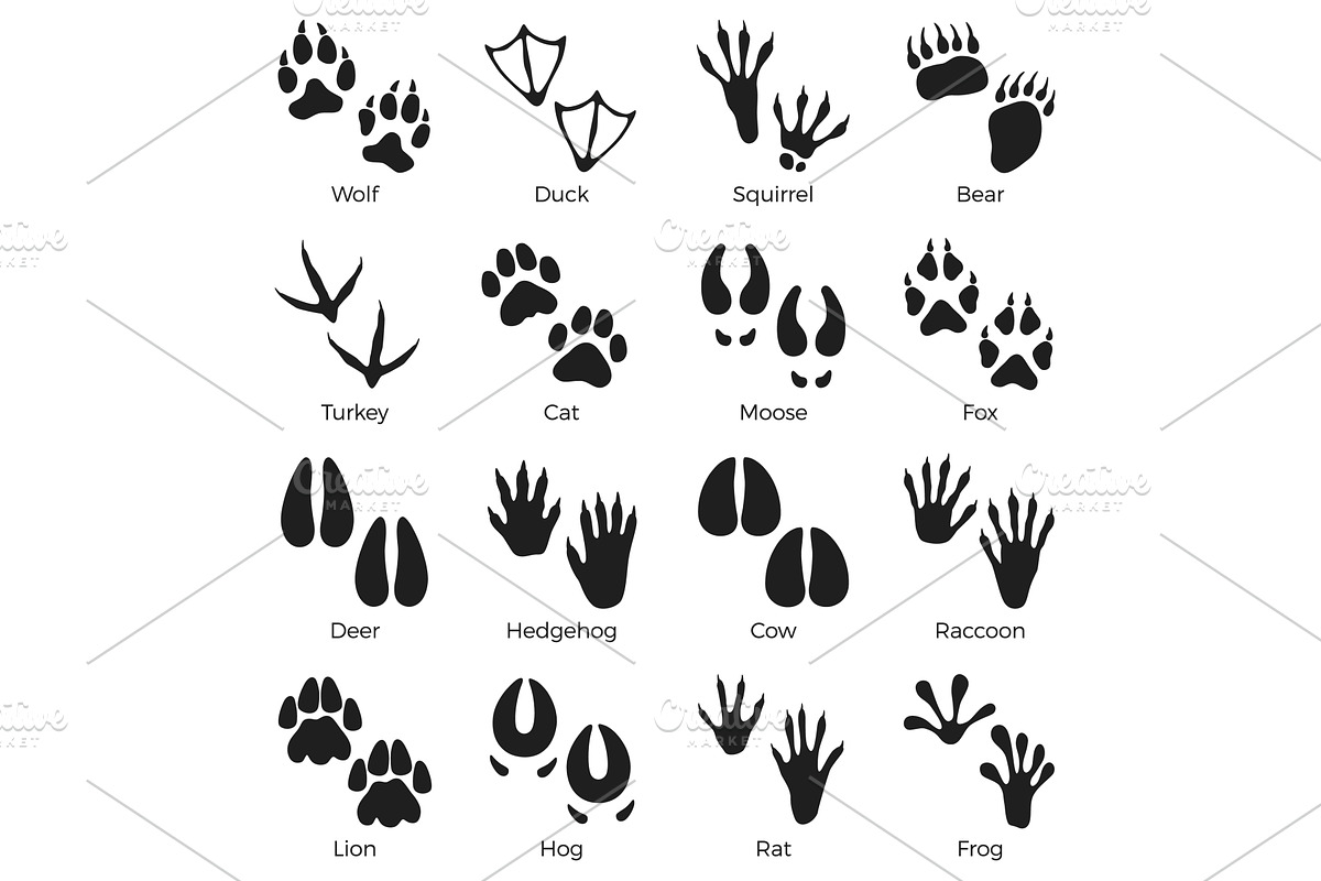 Animals footprints black silhouettes, an Animal Illustration by YummyBuum
