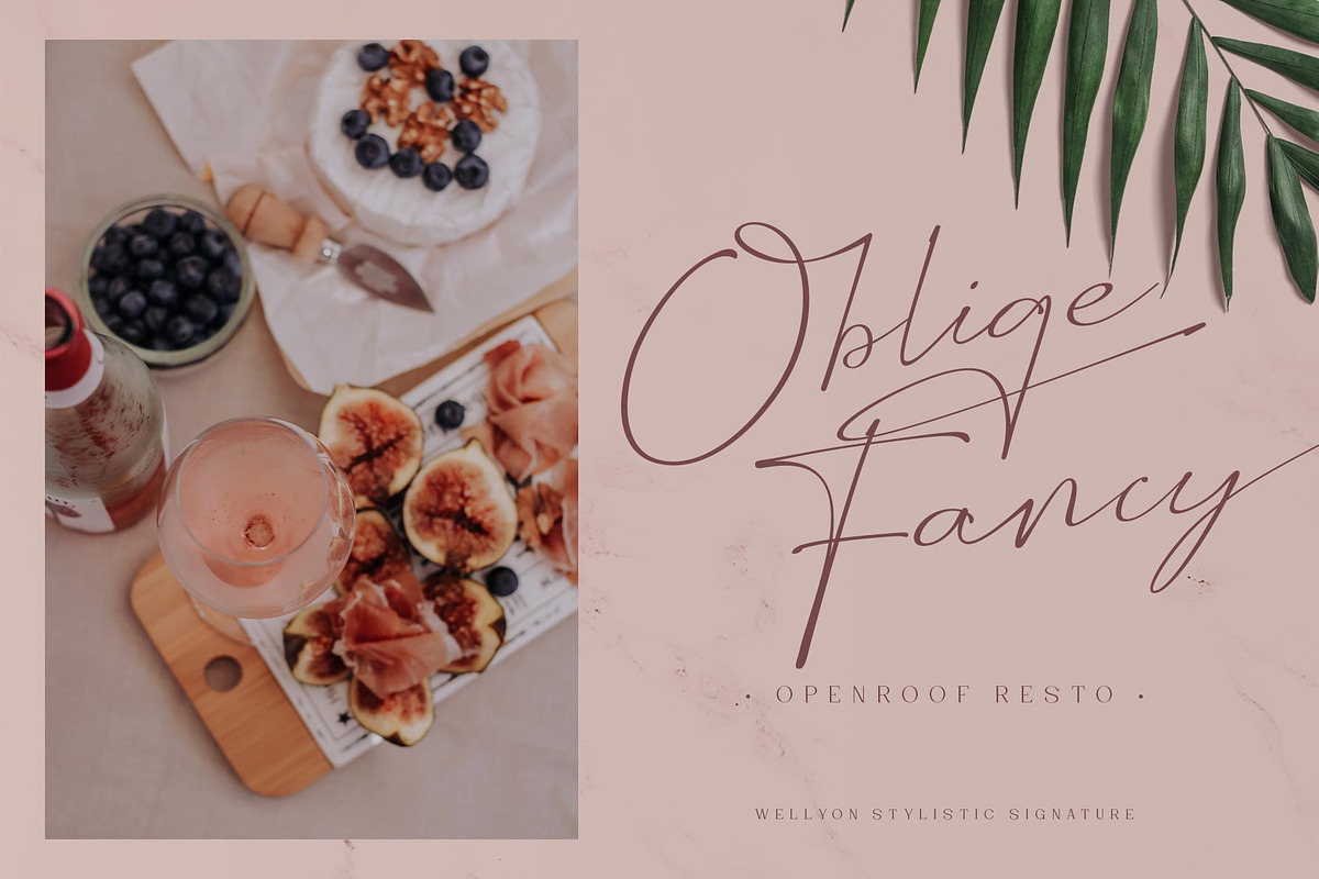 Wellyon Script signature, a Script Font by alit design (Photo 12 of 15)