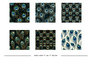 Peacock Feather Animal Print Designs, a Pattern Graphic by karenfoleyphoto (Thumbnail 2 of 11)