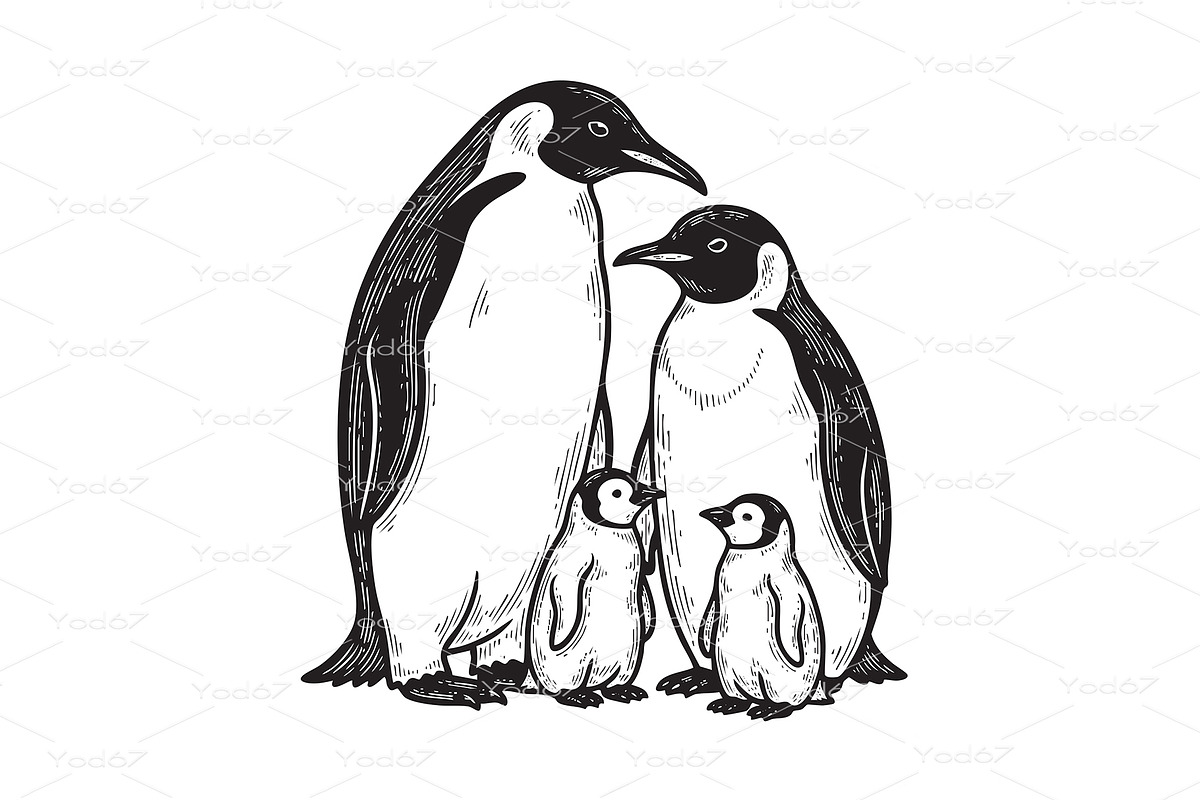 Emperor penguin family, Animals., an Animal Illustration by yod67