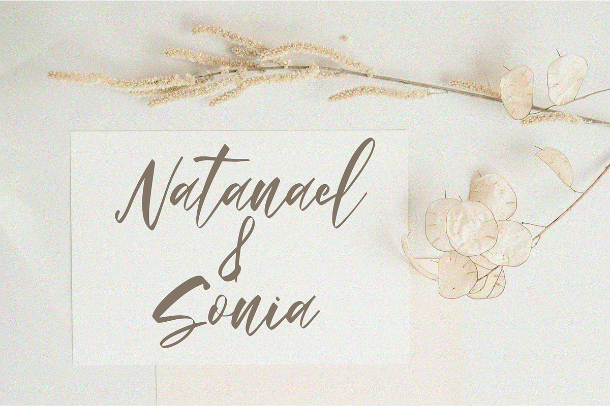 Bellia Monika Elegant Script Font, a Script Font by NTC Graphic (Photo 4 of 8)