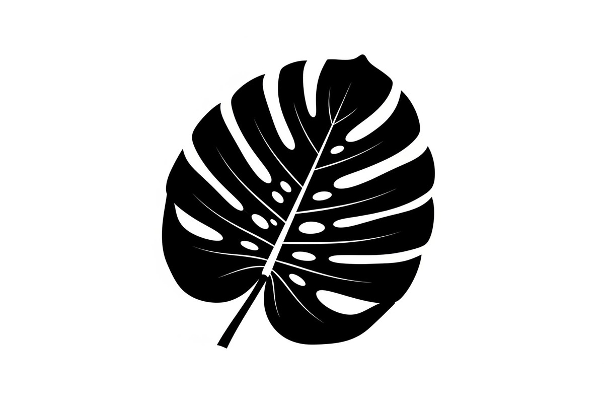 Monstera Leaf Silhouette Bundle, an Illustration by yasushie (Photo 4 of 31)