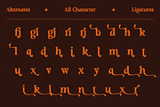 Sunday Monare, a Serif Font by Megatype (Thumbnail 12 of 12)