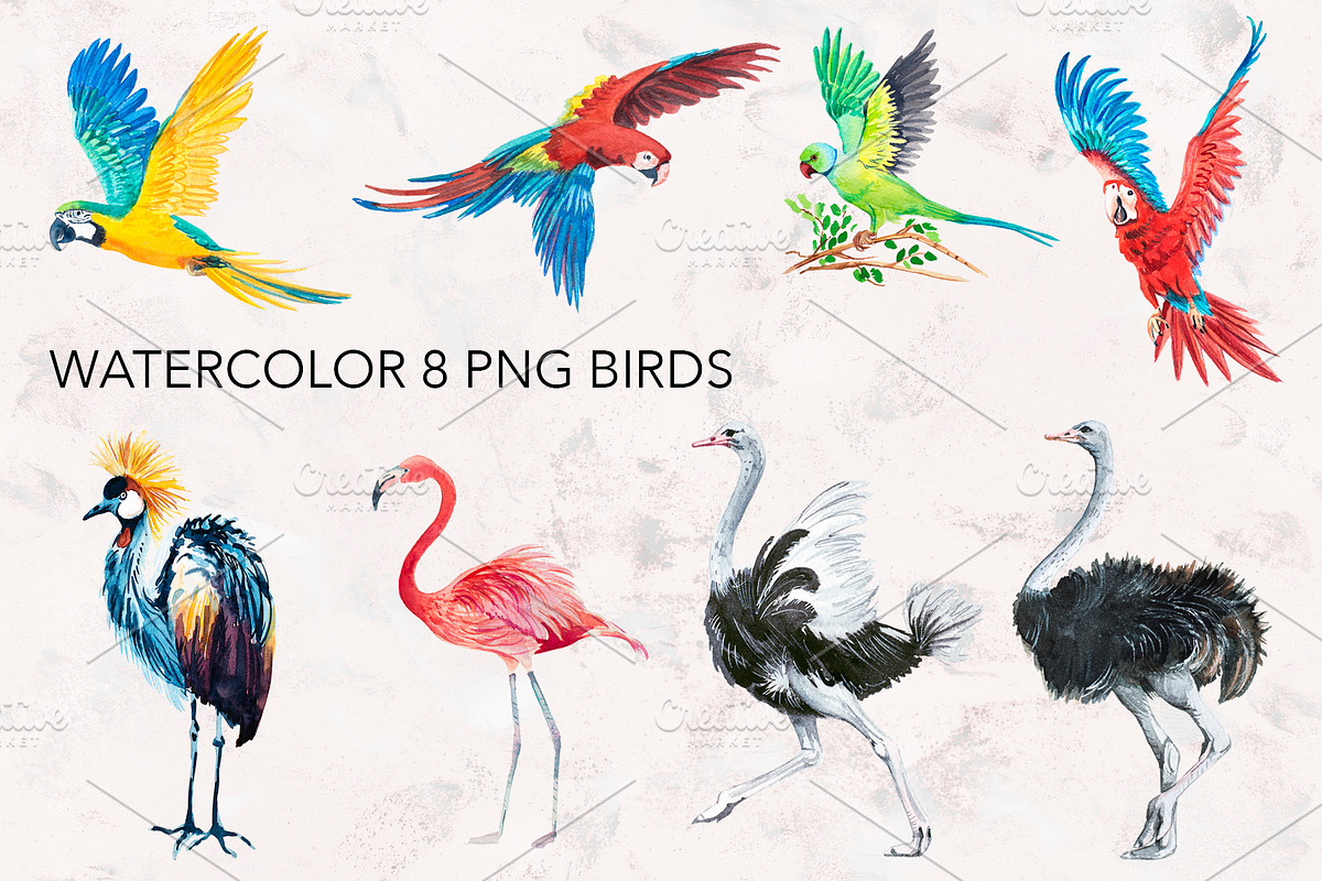 Watercolor AFRICA, an Animal Illustration by lilisavelieva (Photo 3 of 6)