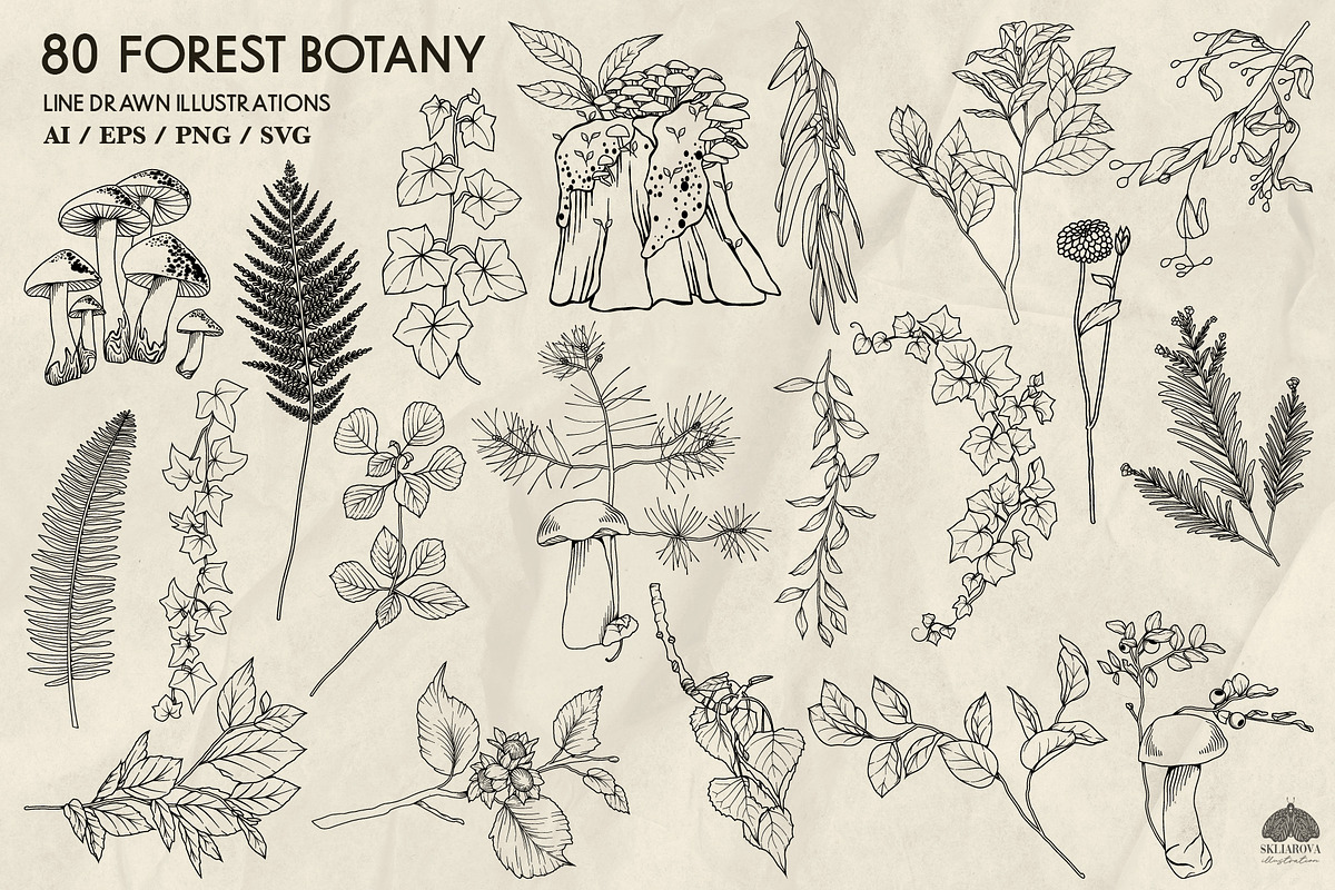 Forest Botany Line Art + Procreate, a Brush Add-On by Skliarova (Photo 3 of 6)