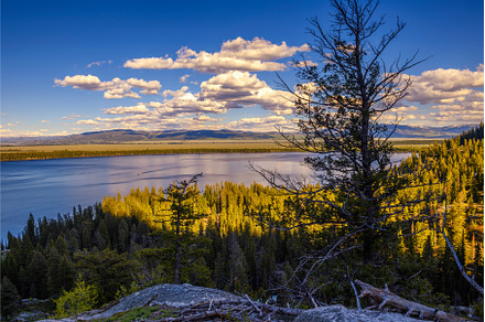 Sunset view of the Jenny Lake in, a Nature Photo by Nick Fox