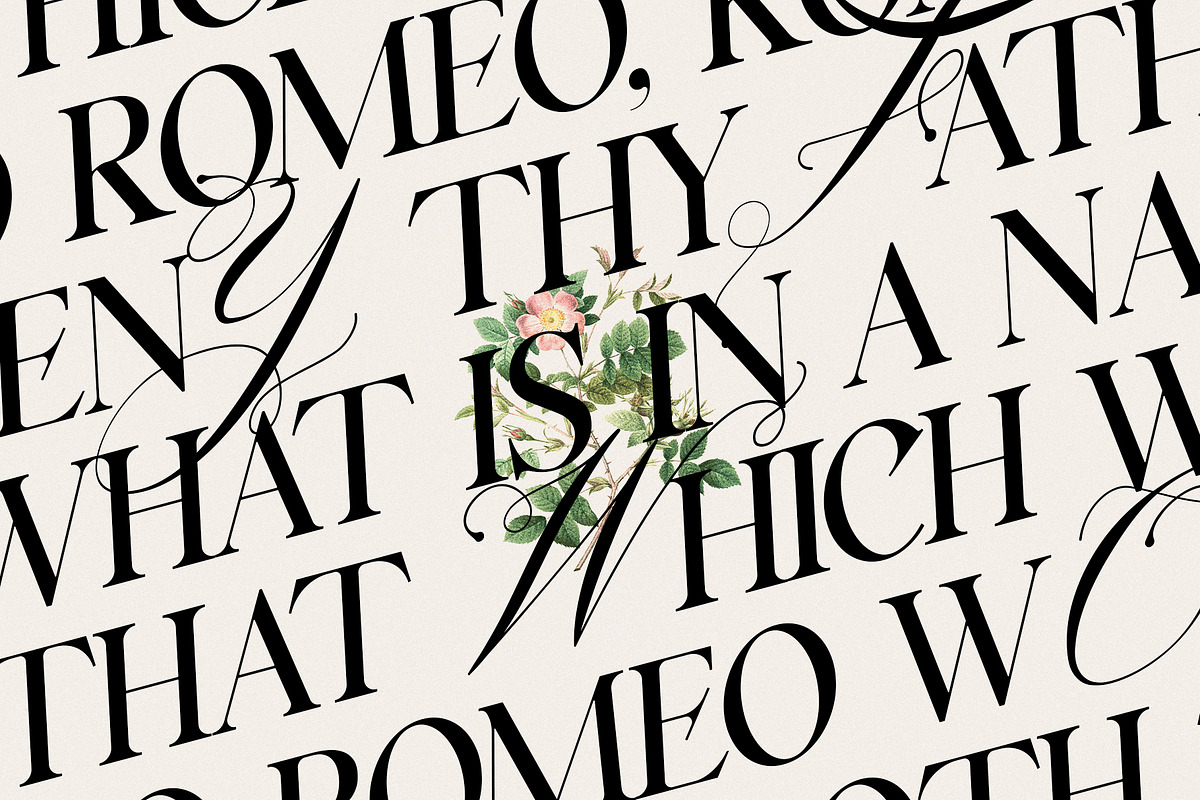 Silver Garden - Nostalgic Font Duo, a Serif Font by SilverStag Type Foundry (Photo 23 of 26)
