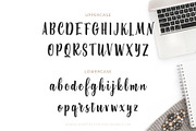 Bonnie Script, a Script Font by Type and Graphics Studio (Thumbnail 3 of 9)