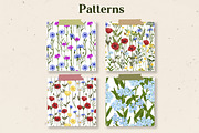 Wild herbs. Wildflowers in summer, a Decorative Illustration by irina.vaneeva (Thumbnail 4 of 8)