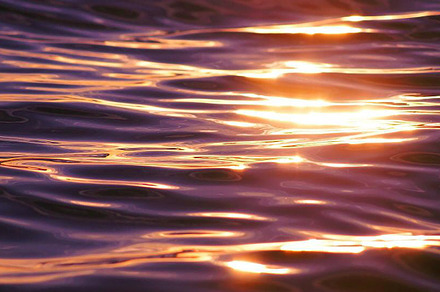 Reflections